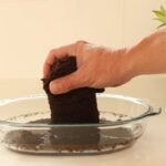 Planters' Choice 9 Herb Indoor Window Garden Kit - House Plants Seeds - Best Unique Easter Gift Ideas for Women, Mom, Friend, Her, Birthday, Housewarming, Mother - New Home Kitchen Gifts